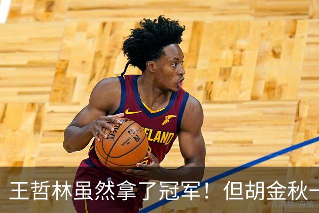 王哲林虽然拿了冠军！但胡金秋一个数据曝光，才知道谁是真核